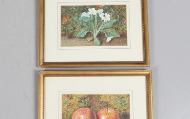 A PAIR OF 19TH CENTURY STILL LIFE WATERCOLOURS.