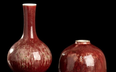 A RED GLAZED PORCELAIN BOTTLE AND A BEEHIVE WATERPOT