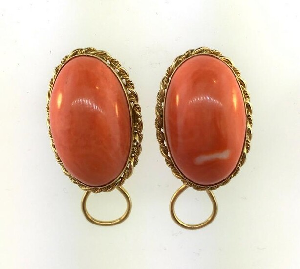 Beautiful Oval Coral Earrings Earrings Cradled in