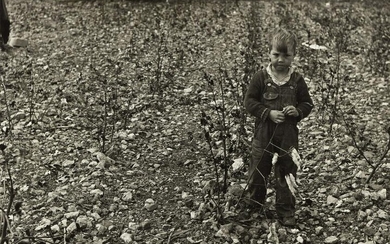 CARL MYDANS (1907-2004) Cotton patch in stony soil