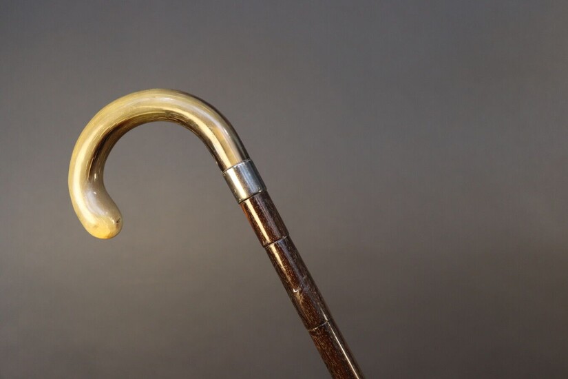 Defence cane with a curved horn pommel releasing a soft baton