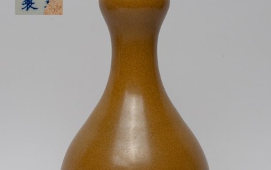 Chinese Ginger Yellow Glazed Porcelain Vase
