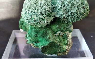 Chrysocolla on Fibrous Malachite Freeform - 34×41×55 mm - 55 g