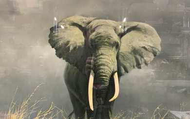 David Shepard Elephant Lithograph