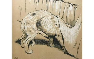 Early 1900's Lithograph, A Dog Day
