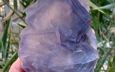 Fluorite Mineral Collection - Height: 167 mm - Width: 98 mm- 1110 g - (1)