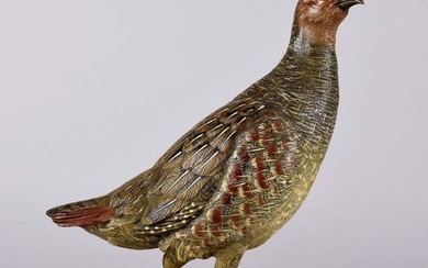 Franz Bergman (1861 ~ 1936) Cold painted Vienna bronze of a partridge signed with Bergman 'B'. Circa 1900 - Height 23 cm.