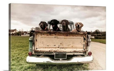 Labradors In The Back Of A Pickup Truck Canvas Reproduction