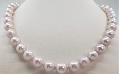 NO RESERVE - 10x13mm Round White Edison Freshwater Pearls - 925 Silver - Necklace