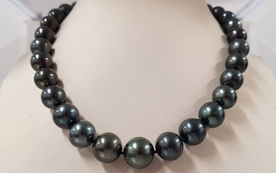 NO RESERVE - 11.2x15mm Large Bright Black Tahitian Pearls - 14 kt. White gold - Necklace