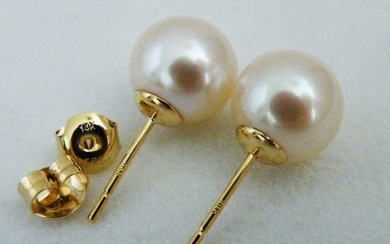 NO RESERVE PRICE- 14 kt. South sea pearls, Yellow gold, Top Grade 9,5 -10 mm - Earrings