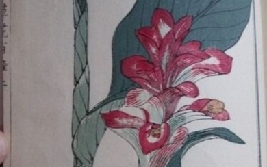 Original woodblock print illustrated book - Paper - Kono Bairei (1844-1895) - "Kusabana hyakushu" 草花百種 (A Hundred Kinds of Flowers) vol 1 - Japan - 1901 (Meiji 34)