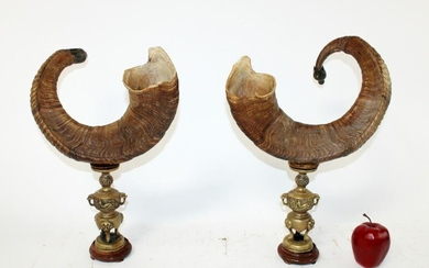 Pair of ram horn sculptures on bronze bases