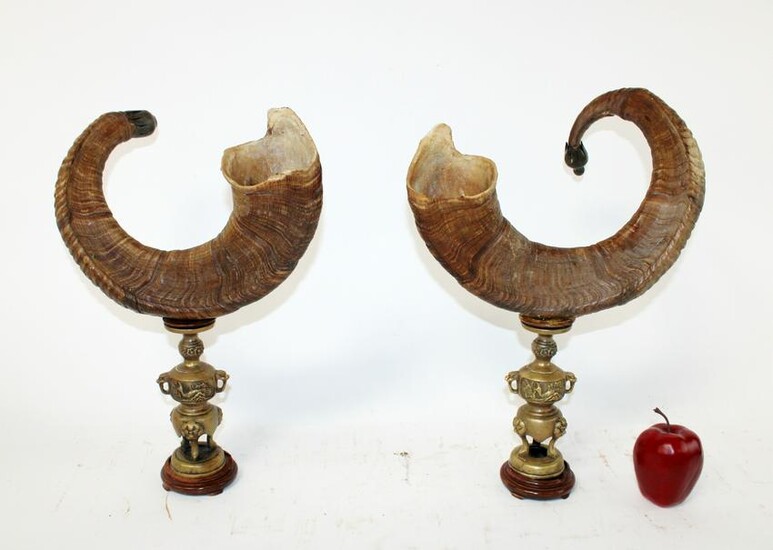 Pair of ram horn sculptures on bronze bases