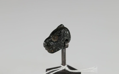 Probably Pre Colombian carved dog head