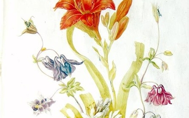 Rich and delicate watercolors by Johanna Graff Herolt