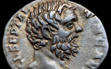 Roman Empire. Clodius Albinus (AD 195-197). AR Denarius