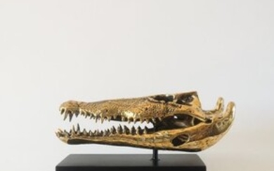 Saltwater Crocodile Skull in Bronze - highly detailed - medium-sized -on custom stand - - - 15×10×23 cm