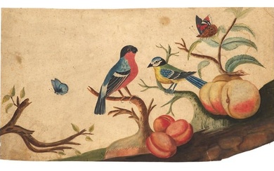 Sammlung von zwei Original-Zeichnungen. Deutschland, 18. Jahrhundert. Je Aquarelle auf Karton. 23 x