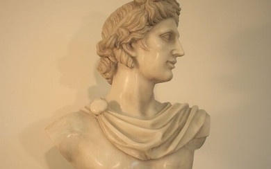Sculpture, Apollo - 70 cm - Marble - Late 20th century
