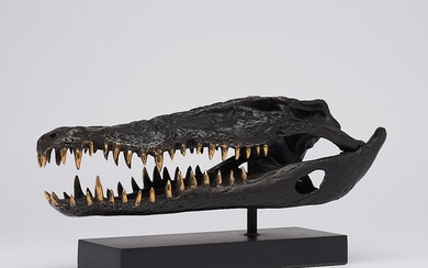 Sculpture, Saltwater Crocodile Skull fashioned in bronze, on custom stand - Bronze - 18 cm - Bronze