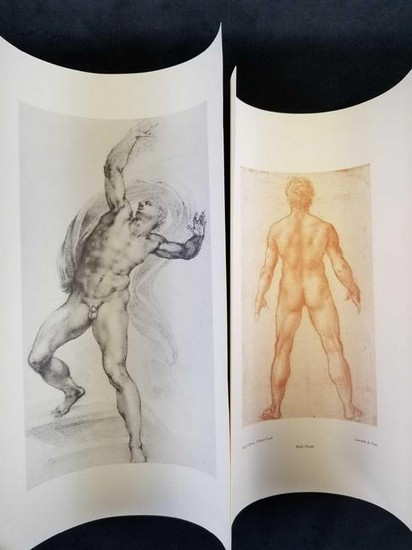 Set of two Male Anatomy Drawings