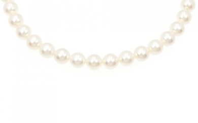 Silver Clasp Akoya Pearl Necklace 7-7.5mm