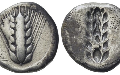 Southern Lucania, Metapontion, c. 510-470 BC. AR Stater (19mm, 7.66g)....