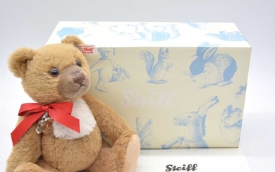 Steiff Germany teddy bear, 682254 'Cookie', boxed with certificate.