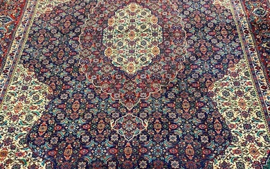 Tabriz - Carpet - 332 cm - 244 cm