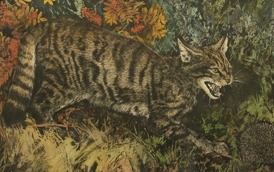 Tim J. Greenwood, 'Wild Cat', cat and hedgehog