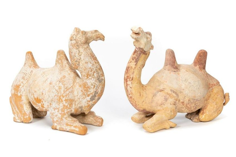Two Chinese Tang Dynasty Recumbent Camels