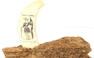 WHALE TOOTH SCRIMSHAW FANNY CAMPBELL FEMALE PIRATE