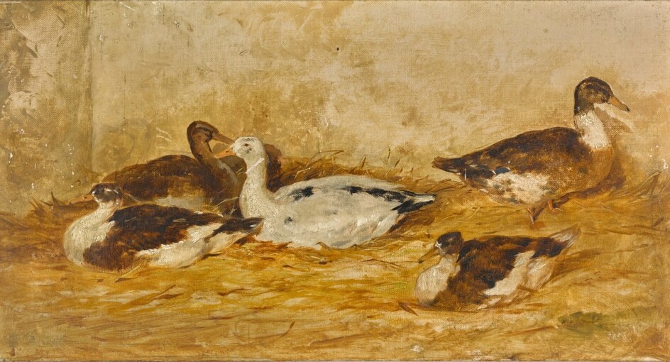 William Hall, Ducks