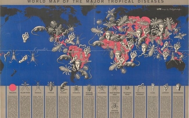 Price reduced by $20, "World Map of the Major Tropical Diseases"