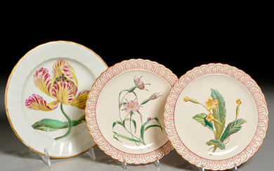 (3) English Ceramic Botanical Plates