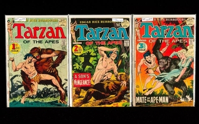 35 DC Tarzan Comics