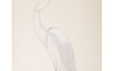 A Great Egret (Ardea Egretta), attributed to Gurudayal, Company School, Barrackpore (near Calcutta), circa 1802