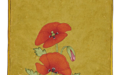 A PAINTING OF AN ORANGE POPPY INDIA, RAJASTHAN, BIKANER, LATE 18TH CENTURY