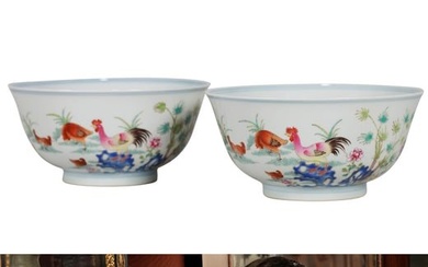 A PAIR OF DOUCAI HEN AND CHICKS BOWLS