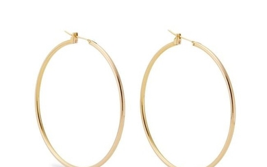 A pair of hoop earrings.