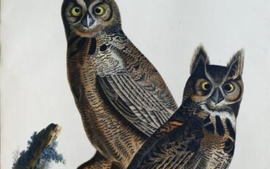 Audubon, Great Horned Owl, Plate 61