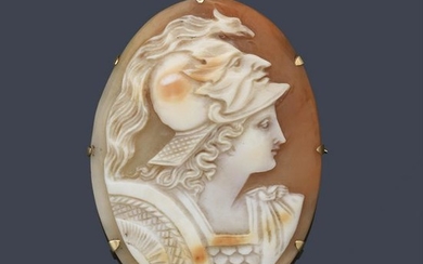 Brooch-cameo in shell bust of goddess Palas Athena in