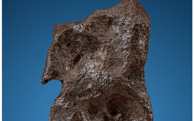 Campo del Cielo Meteorite Iron, IAB-MG Chaco, Argentina Found:...