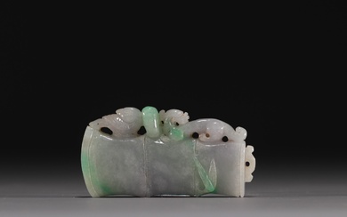 Chine - Jade sculpté à décor de dragon et phénix, époque Qing. Poids: 110 g...