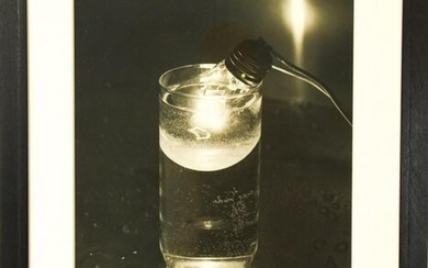 David Goldes Science Experiment #1 Photograph