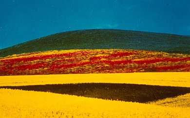 Franco Fontana (1933), Paesaggio, 1995