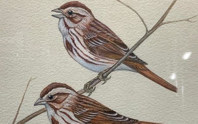 Grenville W.Scott Sgd Finch Birds Watercolor