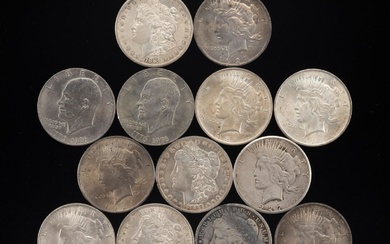 Group Of 11 Morgan And Peace Silver Dollars