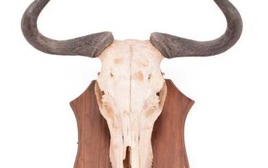 Horns/Hides: A Small Collection of African Hides and Skull, modern,...